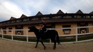 Работа молодой лошади. Часть 2.  Подготовка к сбору.