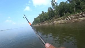 ЩУКА НА КАЖДЫЙ ЗАБРОС!! КРОКОДИЛ СХВАТИЛ В КОРЯГАХ!! Рыбалка на Оби на джиг.