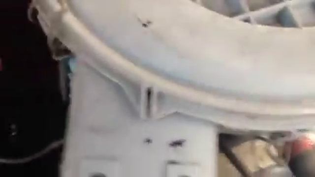 W0886 смотреть онлайн