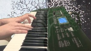 Borjan - White Storm (Ensiferum Piano Cover)