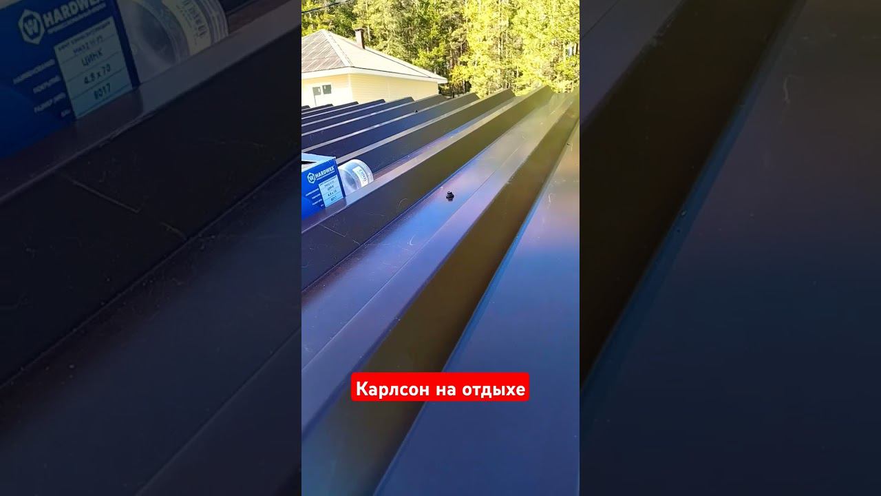 Он живёт на крыше. #zахарята #стройка #своимируками #крыша