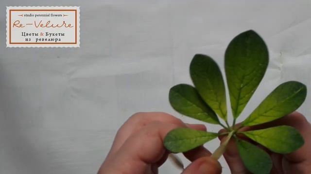 Мастер-класс ВЕТКА ШЕФФЛЕРЫ из обрезков фоамирана (DIY branch Schefflers from scraps of foam) смотреть онлайн