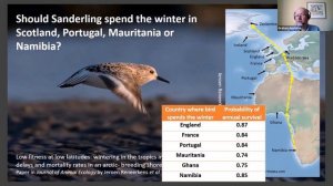 Waders: a cause for concern -BDI Citizen Scientist Hour #35 - Graham Appleton