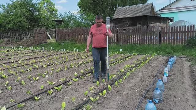 Полевые испытания разбрасывателя удобрений. Сделал полив для клумбы. Довольная жена.Жизнь в деревне.
