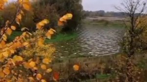 стих про отца