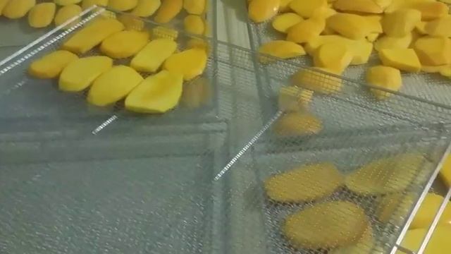 СУШЕНЫЙ МАНГО СОБСТВЕННОГО ПРОИЗВОДСТВА ВО ВЬЕТНАМЕ
