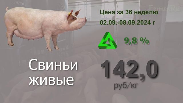 Что сейчас происходит на рынке мясной продукции? Цены за 35 неделю #мясо #аналитика #АПК