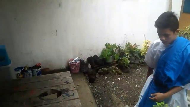 Si Pygmalion at Galatea (Filipino Project) смотреть онлайн