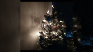 Диана Строгая - сорока и ее бохатство | Сплетница