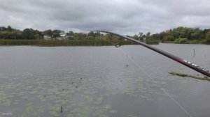 Инструменты выживания рыбака/Спиннинг Abu Garcia BMAX/Рыбалка на хищника