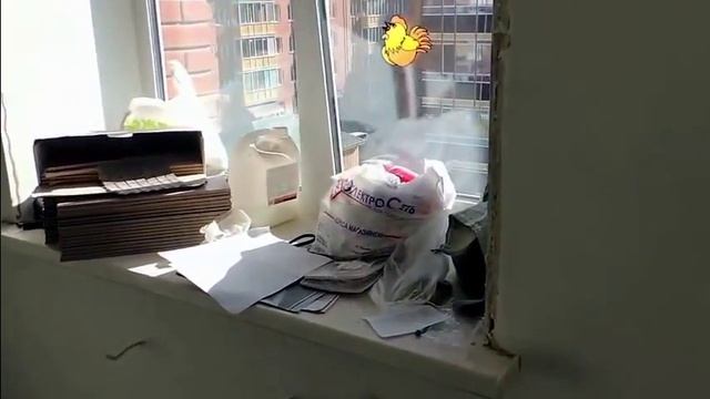 какими материалами недорого залить пол,стяжку в квартире