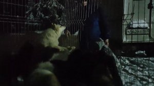 На паром из Усть -Луги в Калининград