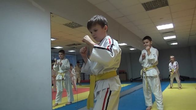 Связки в Косики карате. Кизами цуки + Маваши гери. смотреть онлайн