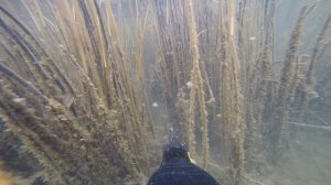 Подводная охота 2022.Аграхан открытие сезона!Сазан.Квадрокоптер.Раненый пеликан!