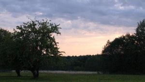 Звуки деревни летним вечером для сна и отдыха. Почувствуйте гармонию с природой | Senses of Light