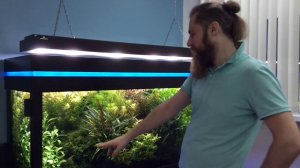 Аквариум с живыми растениями