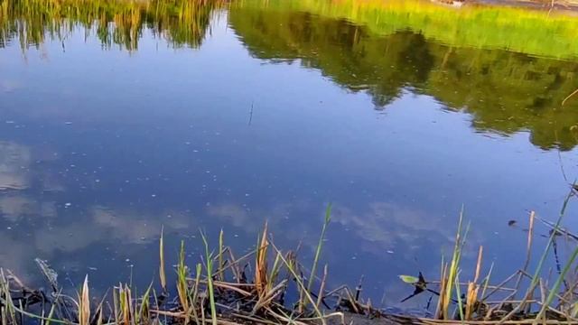 Рыбалка в мае на реке. #рыбалка #рыбалка2023 #рыбалкавесной