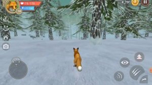 играем в игру про волков (название забила)