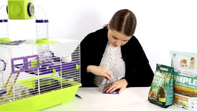 ? Vlog #5. Паспорт для хомячка. Passport to the hamster. смотреть онлайн