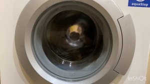 Bosch WFCX 2460 OE: Стирка полотенец/Хлопок 90°, 1100, доп.полоскание, интенсивная стирка