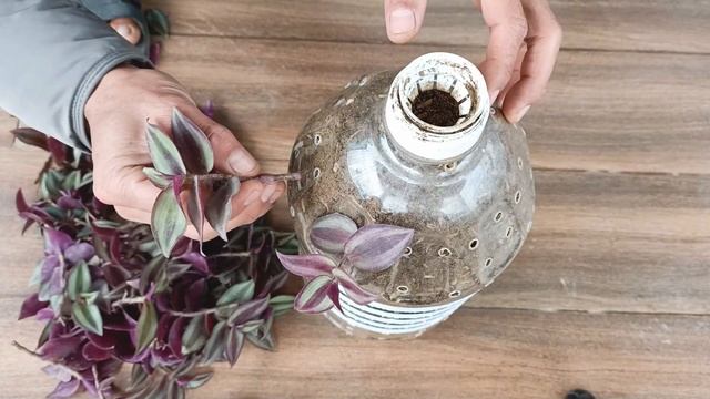 Recycle Plastic Bottles into Hanging Garden, Healthy Indoor Hanging Plants смотреть онлайн