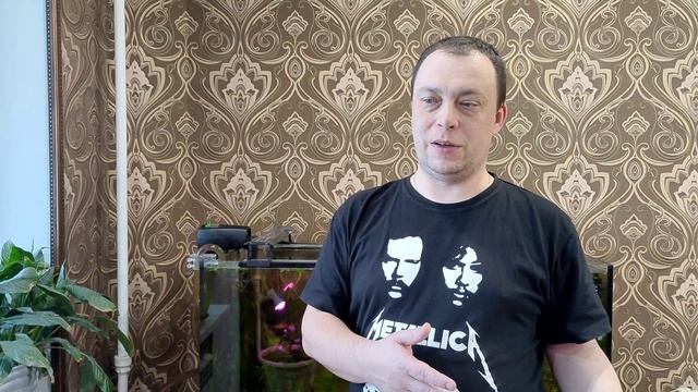 #сменанаполнителяваквариуме #аквариумдома #мойаквариум Когда менять наполнитель во внешнем фильтре