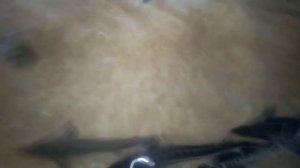 Подмена воды в моём УЗВ