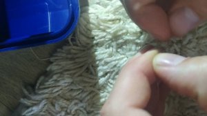 как привязать поводок чтобы непутался? Простой способ