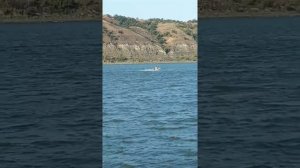 Рыбалка на Дону Волгоградской обл.