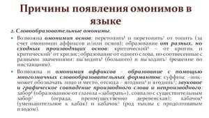 Видеолекция "Омонимия"