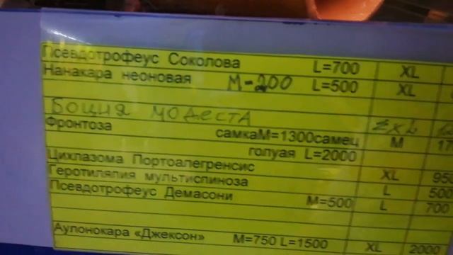 Магазин "Аквариумный мир" в Ростове-на-Дону