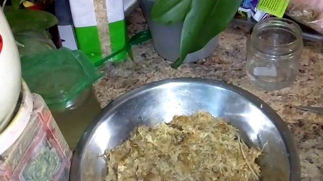 Мох для орхидей новозеландский обзор смотреть онлайн