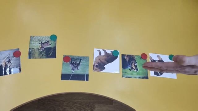 Игра "Азбука безопасности" смотреть онлайн