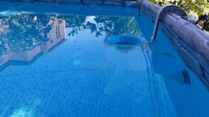 28000 Скиммер для бассейна Intex