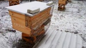 Декабрь 2018. Защита пчел от синиц.