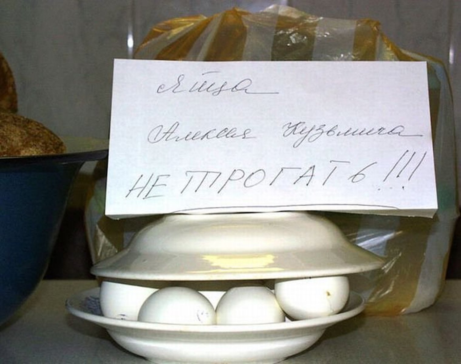 Общага приколы
