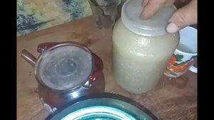 Хвойный квас своими руками