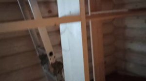 Отделка бани из оцилиндрованного бревна