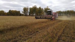 Комбайн Палессе УЭС-280 на уборке зерновых