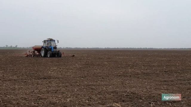 Рапс 2020 Посев смотреть онлайн