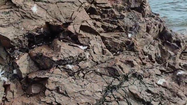 Путешествие на север. Часть 5, Белое море, аметистовые берега и флюоритовые скалы... смотреть онлайн