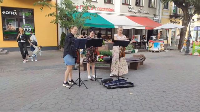 Скрипачки!!!