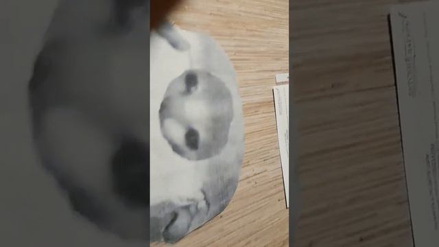 #шорст #эмир #мемы хапи хапи хапи хапи хапи смотреть онлайн