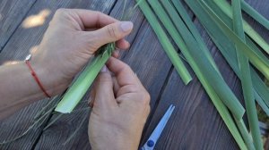 Как сделать почти живого кузнечика из листа рогоза. Удивились все!