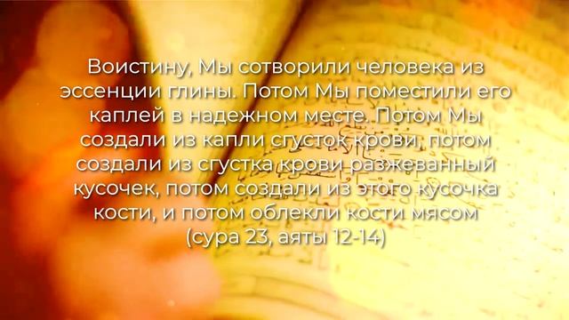 Ищем научные чудеса и ошибки в Коране [ЧУДОВЕРИЕ]