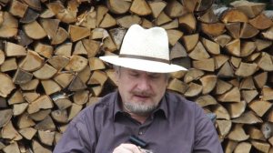 С.В. Савельев о вышедшей книге "Церебральный сортинг"