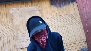 Tom Franxx & GB (Тот самый русский медведь.)