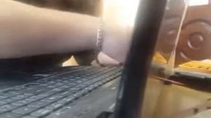 Acer 5542g - чистка, разборка, как разобрать