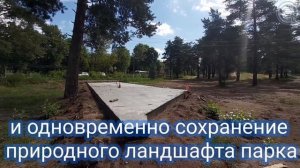 Благоустройство пляжа и соснового бора в городе Сясьстрой