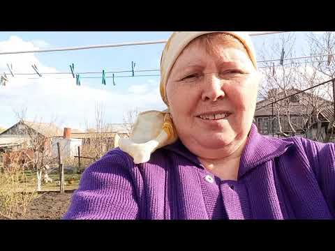 Насыщенные два  дня. Жизнь в деревне простых людей .Купила розы ,поставили парник , внук.